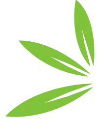 DataForest.io